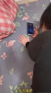 雪梨枪 百度网盘