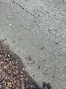 小母狗白天真空散步学校大马路上zw喷水